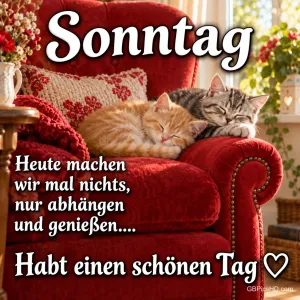 Zwei schlafende Kätzchen kuscheln auf einem roten Sessel am Fenster mit dem Gruß "Habt einen schönen Tag ♡".