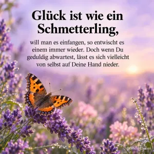 Ein orangefarbener Schmetterling sitzt auf blühendem Lavendel im sanften Abendlicht, darüber der Spruch "Glück ist wie ein Schmetterling" über Geduld und Glück.