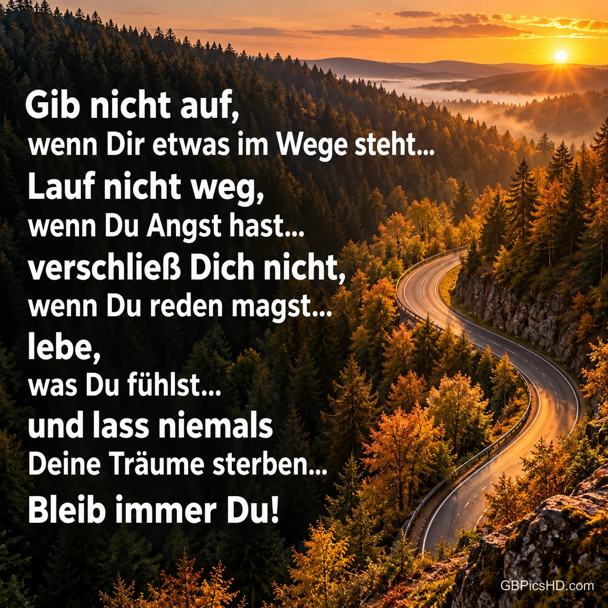 Eine kurvige Straße windet sich im Abendlicht durch herbstliche Wälder und Hügel, daneben der Mutmacher-Spruch "Gib nicht auf, wenn Dir etwas im Wege steht… Bleib immer Du!"
