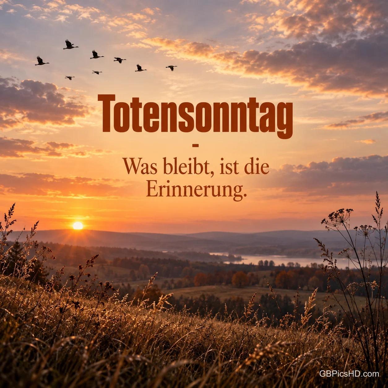 Weite Hügellandschaft mit Gräsern bei Sonnenuntergang, Zugvögel am goldenen Himmel, darüber der Text "Totensonntag – Was bleibt, ist die Erinnerung." Weite Hügellandschaft mit Gräsern bei Sonnenuntergang, Zugvögel am goldenen Himmel, darüber der Text "Totensonntag – Was bleibt, ist die Erinnerung."