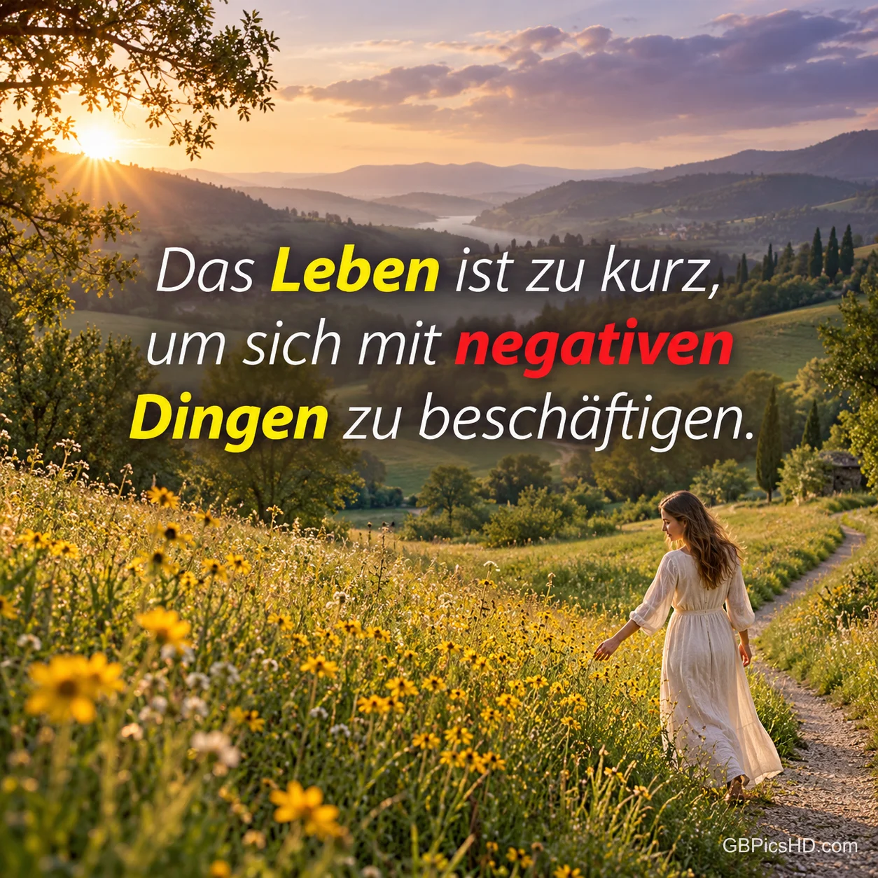 Eine Frau im hellen Kleid geht von hinten gesehen durch eine blühende Wiese im Abendlicht, Spruch "Das Leben ist zu kurz, um sich mit negativen Dingen zu beschäftigen."