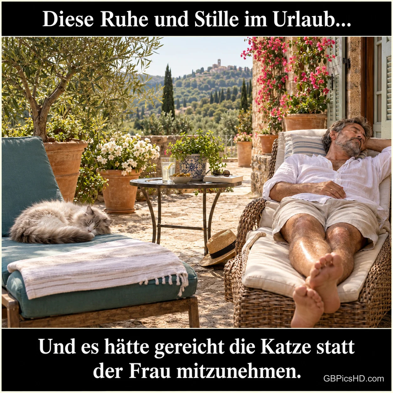 Ein Mann und eine Katze schlafen auf Liegestühlen auf einer Terrasse unter "Diese Ruhe und Stille im Urlaub...".