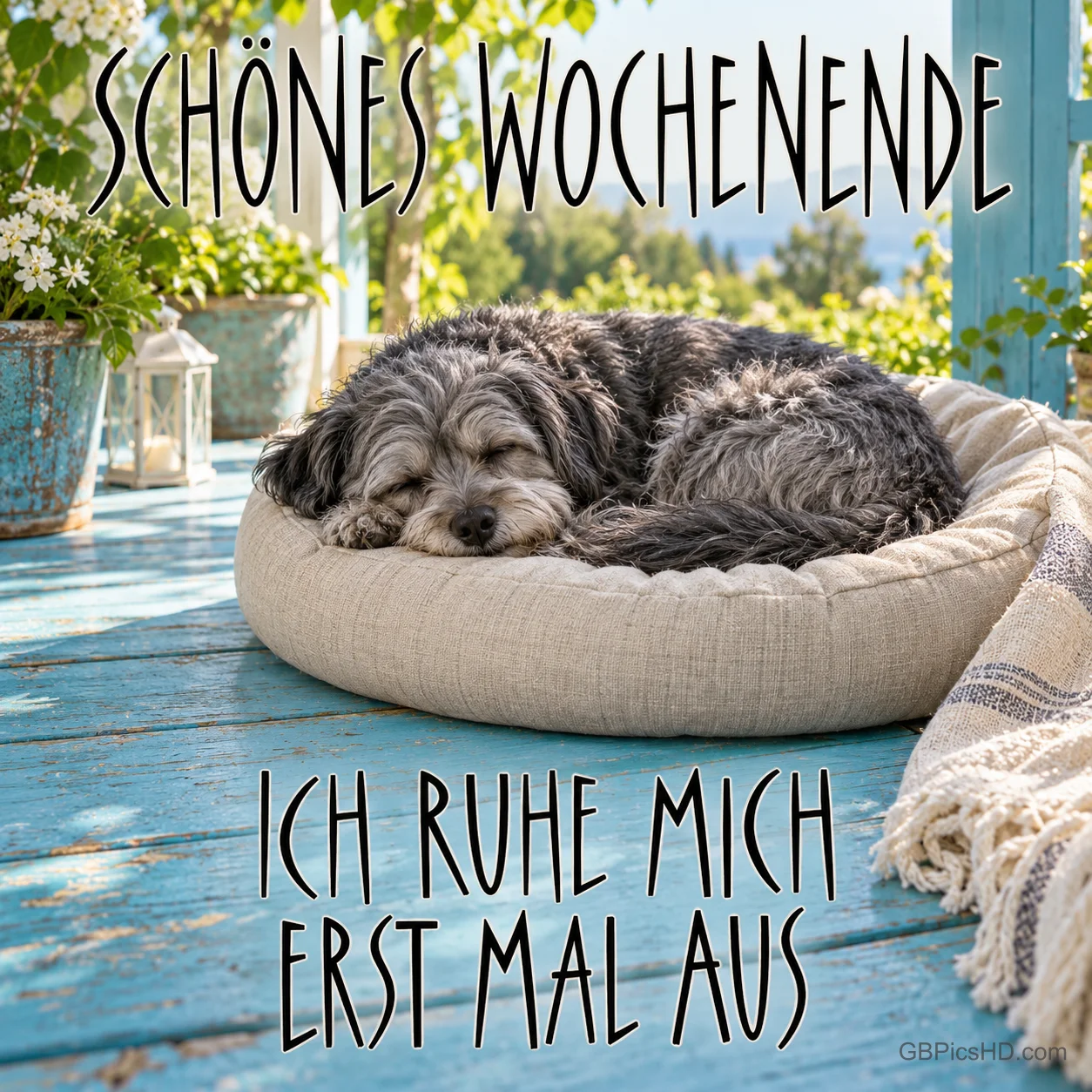 Ein Hund schläft im Körbchen auf einer Terrasse: "SCHÖNES WOCHENENDE ICH RUHE MICH ERST MAL AUS".