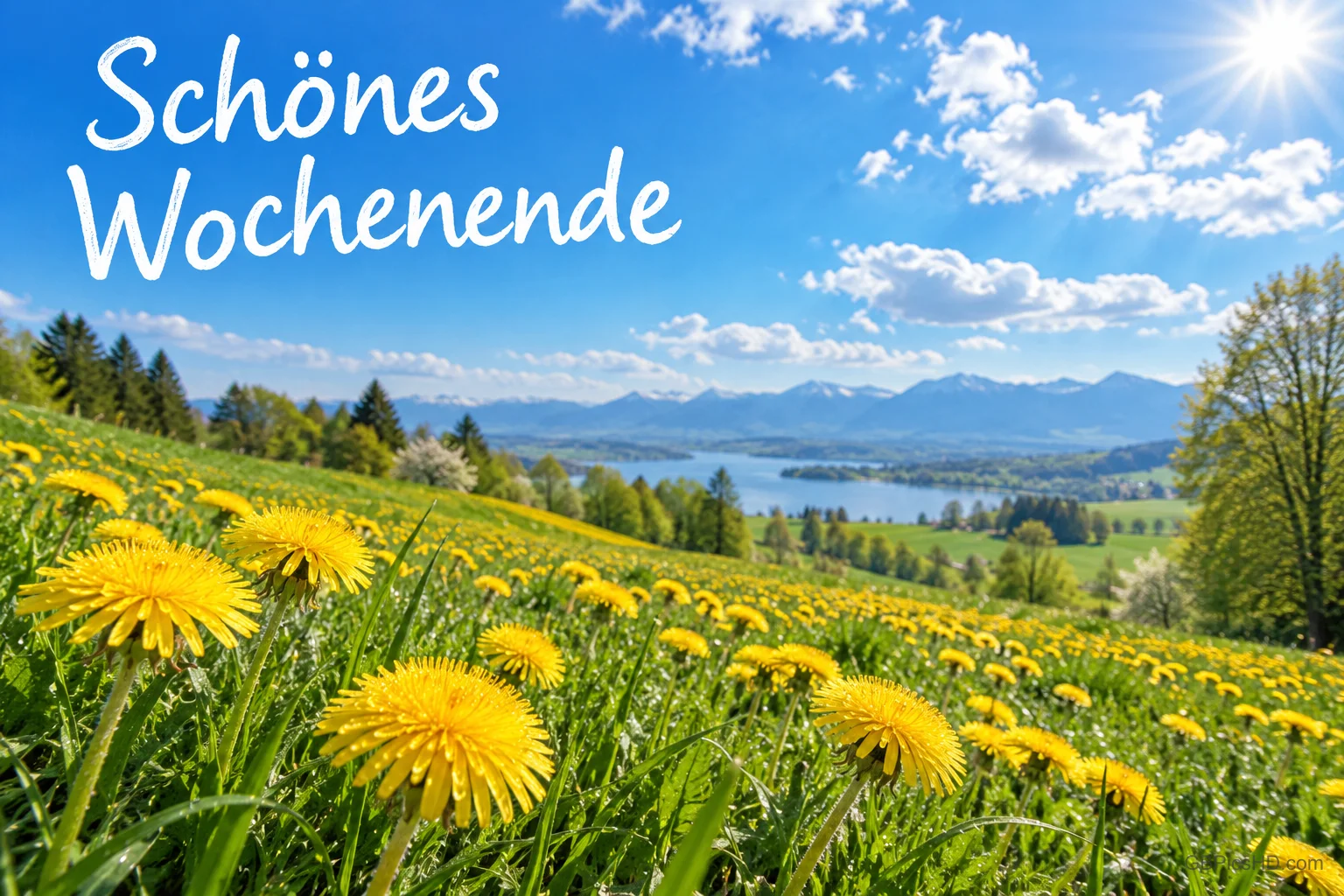 Gelbe Löwenzahnblüten wachsen auf einer Wiese mit Blick auf einen See und Berge: "Schönes Wochenende".