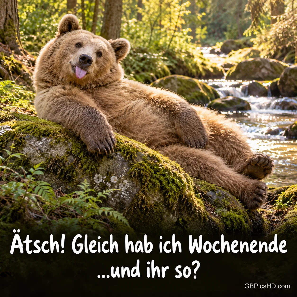 Ein Braunbär liegt mit herausgestreckter Zunge auf einem moosigen Felsen am Bach über "Ätsch! Gleich hab ich Wochenende ...und ihr so?".