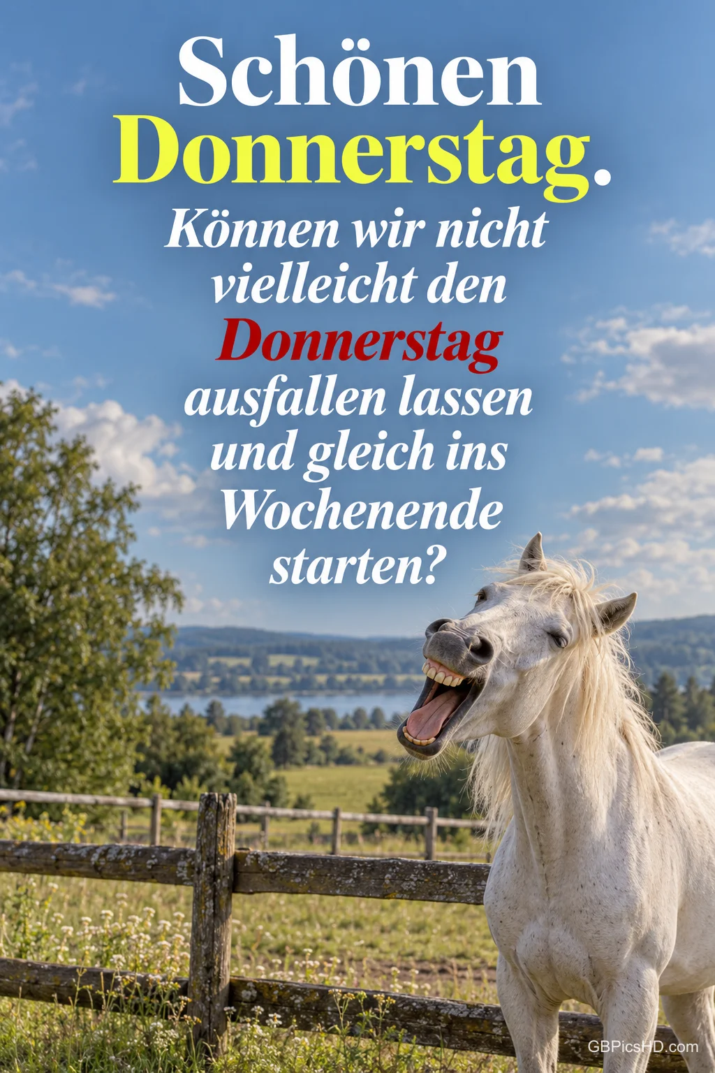 Ein weißes Pferd steht mit offenem Maul vor einem Weidezaun; darüber steht "Schönen Donnerstag." mit einem Wochenendwunsch.