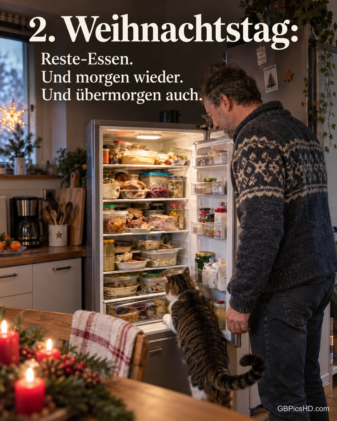 Ein Mann öffnet einen Kühlschrank voller Dosen mit Resten, eine Katze schaut auch hinein, dazu „2. Weihnachtstag“.