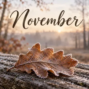November