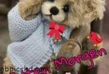 ᐅ guten morgen bilder bärchen - Hallo Bilder GB Pics