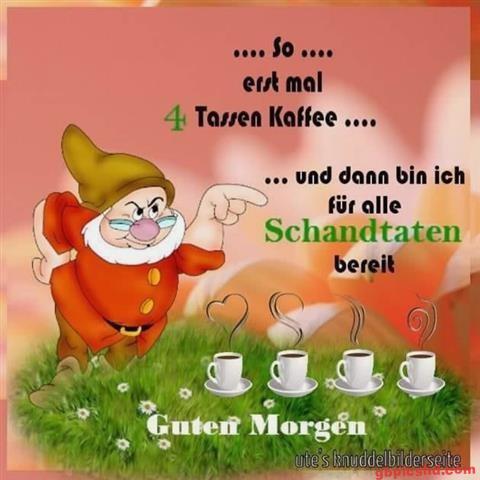 guten morgen bilder kostenlos