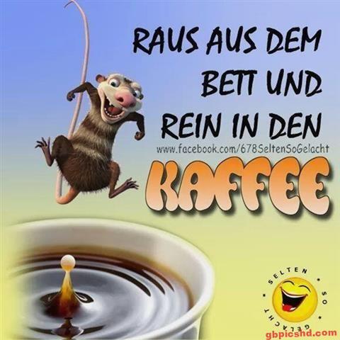 lustige guten morgen bilder