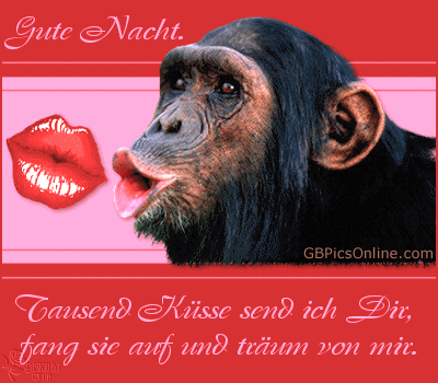 gute-nacht-kuss_9