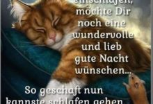 ᐅ gute nacht lustig - Samstag GB Pics