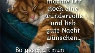 ᐅ gute nacht lustig - Gute Nacht GB Pics
