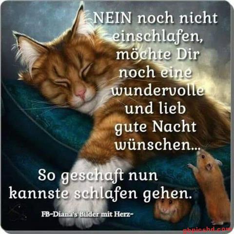 gute nacht lustig