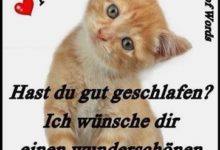 ᐅ guten morgen bilder lustig - Geburtstag GB Pics