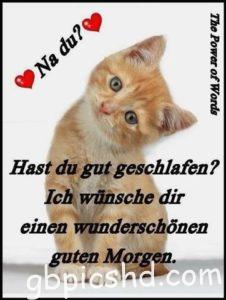 guten morgen bilder lustig