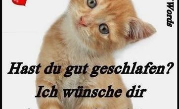 ᐅ guten morgen bilder lustig - Guten Morgen GB Pics