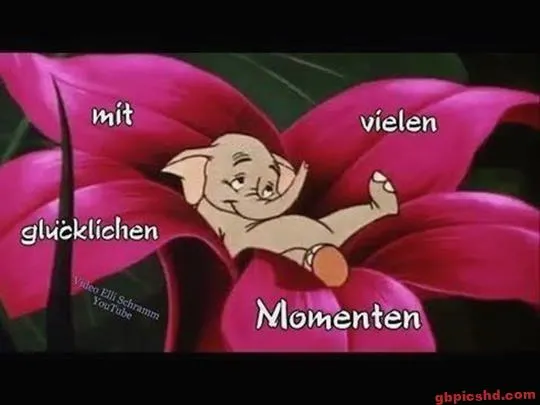 Ein schlafender Elefant auf einer großen pinken Blüte mit Text über Glücksmomente.