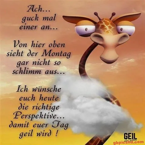 Eine Giraffe schaut nach oben, während Wolken im Hintergrund sichtbar sind.