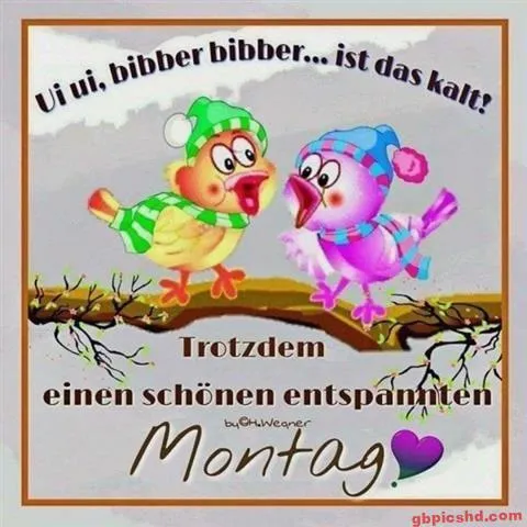 Zwei cartoonhafte Vögel in Mützen sprechen über die Kälte und wünschen einen schönen Montag.