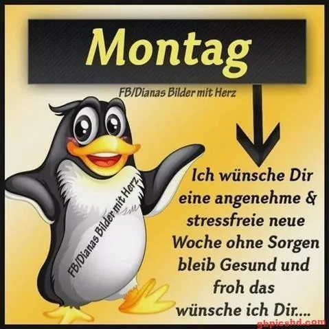 Ein fröhlicher Pinguin mit dem Text "Montag" und einen guten Wunsch für die Woche.