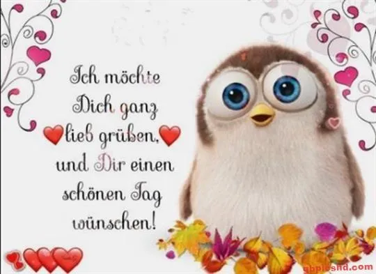 Ein niedlicher Vogel mit großen Augen und herzlichen Grüßen auf einem bunten Hintergrund.