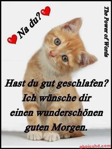Guten-Morgen-Bilder-Lustig_1_8697a