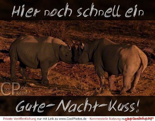 gute-nacht-kuss_22