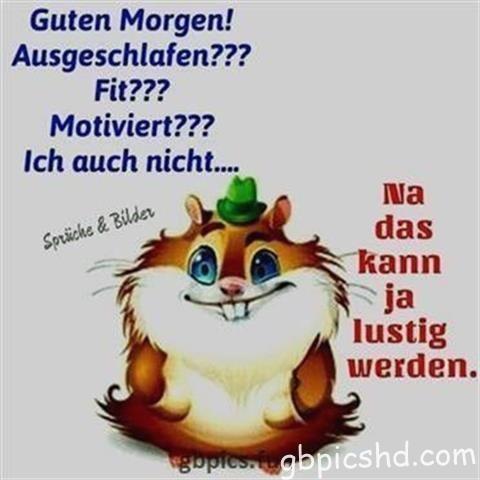 guten-morgen-bilder-lustig_10