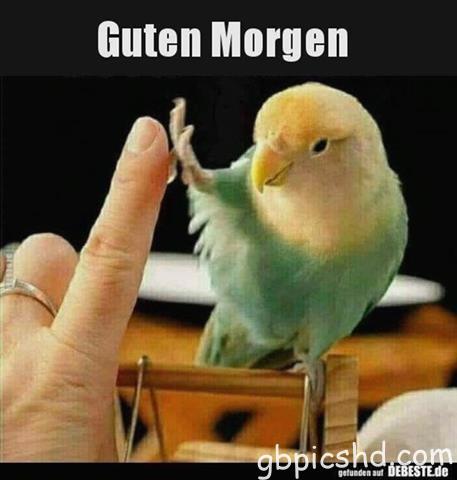 guten-morgen-bilder-lustig_12