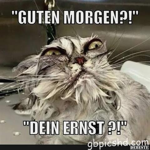 guten-morgen-bilder-lustig_13