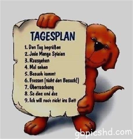 guten-morgen-bilder-lustig_15