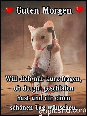 guten-morgen-bilder-lustig_16