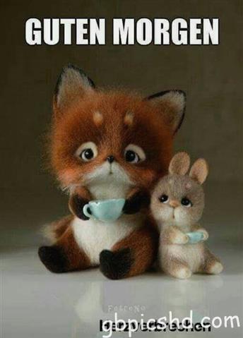 guten-morgen-bilder-lustig_19