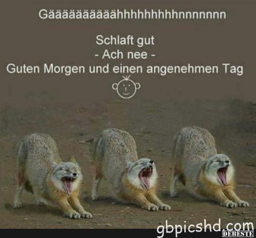 guten-morgen-bilder-lustig_20
