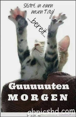 guten-morgen-bilder-lustig_23