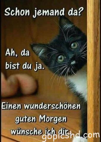 guten-morgen-bilder-lustig_24