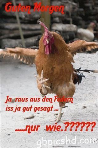 guten-morgen-bilder-lustig_25