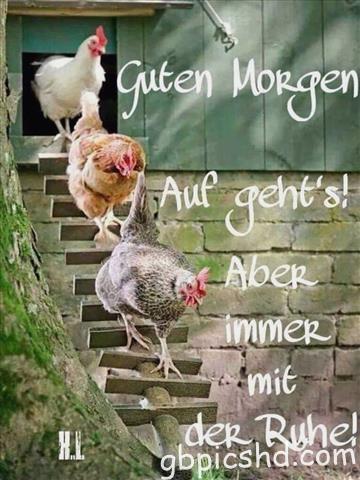 guten-morgen-bilder-lustig_27
