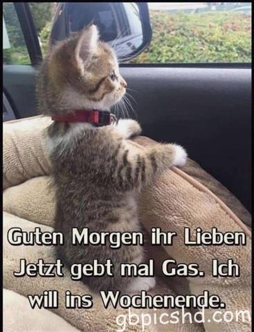 guten-morgen-bilder-lustig_3