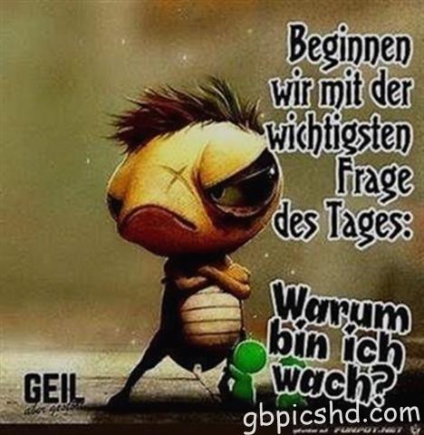 guten-morgen-bilder-lustig_30