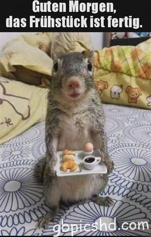 guten-morgen-bilder-lustig_32