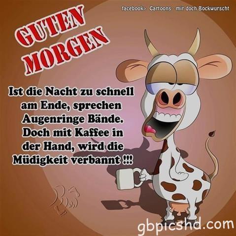 guten-morgen-bilder-lustig_33