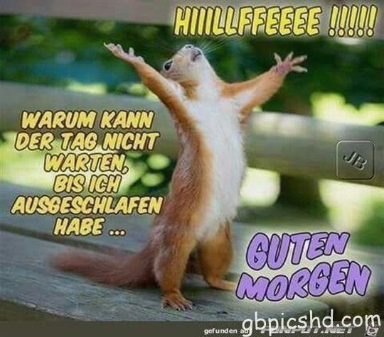 guten-morgen-bilder-lustig_34