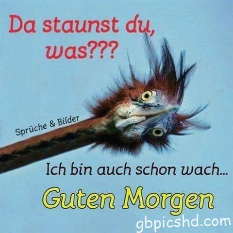 guten-morgen-bilder-lustig_5