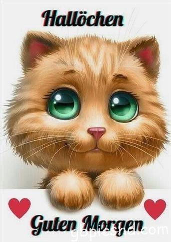 guten-morgen-bilder-lustig_9