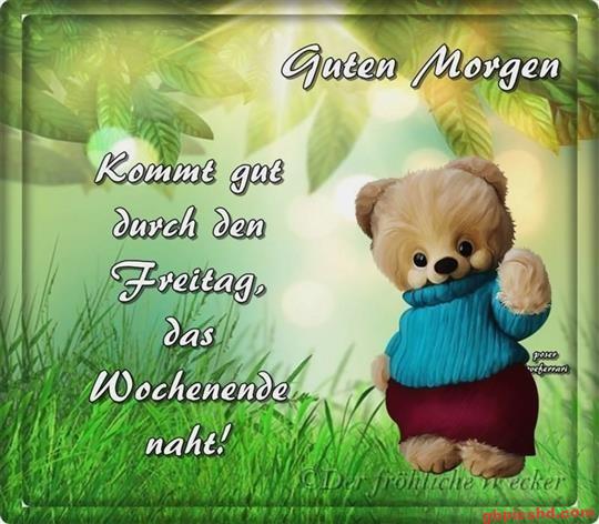 guten-morgen-freitag-bilder_2