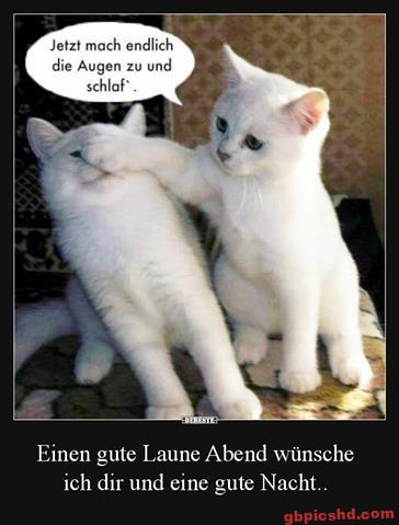 lustige-gute-nacht-bilder_11
