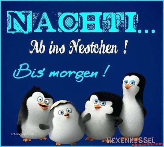 lustige-gute-nacht-bilder_13